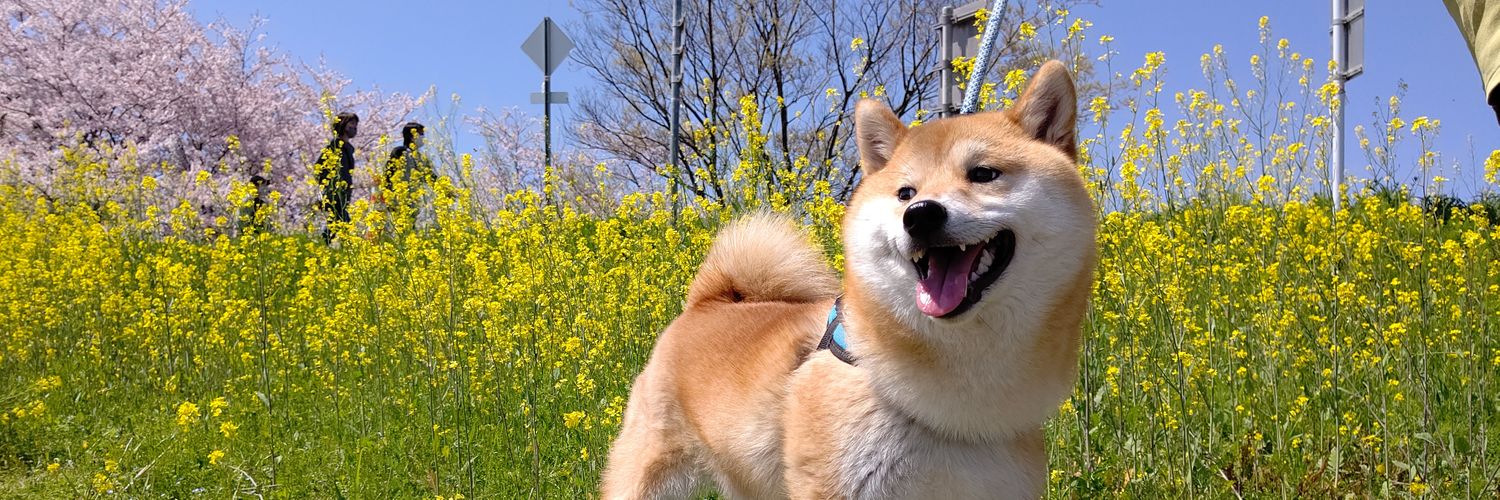 kabocha1014's profile banner image