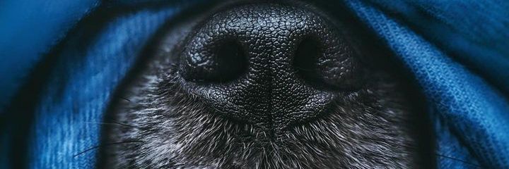 millan_c85's profile banner image