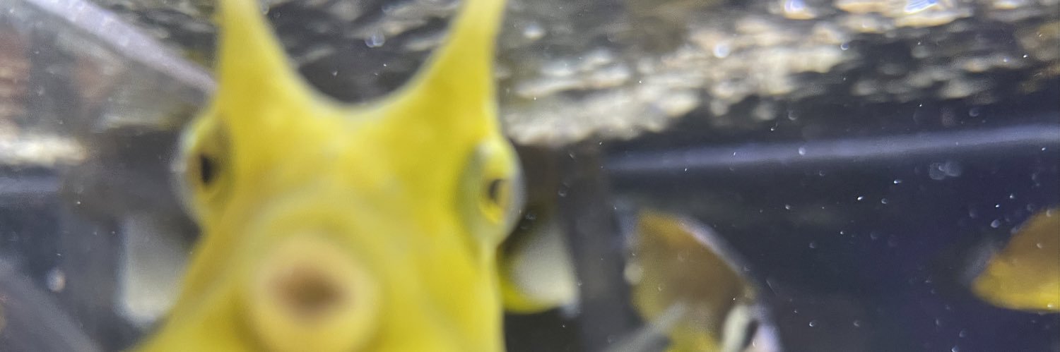 _oozzZZZ's profile banner image