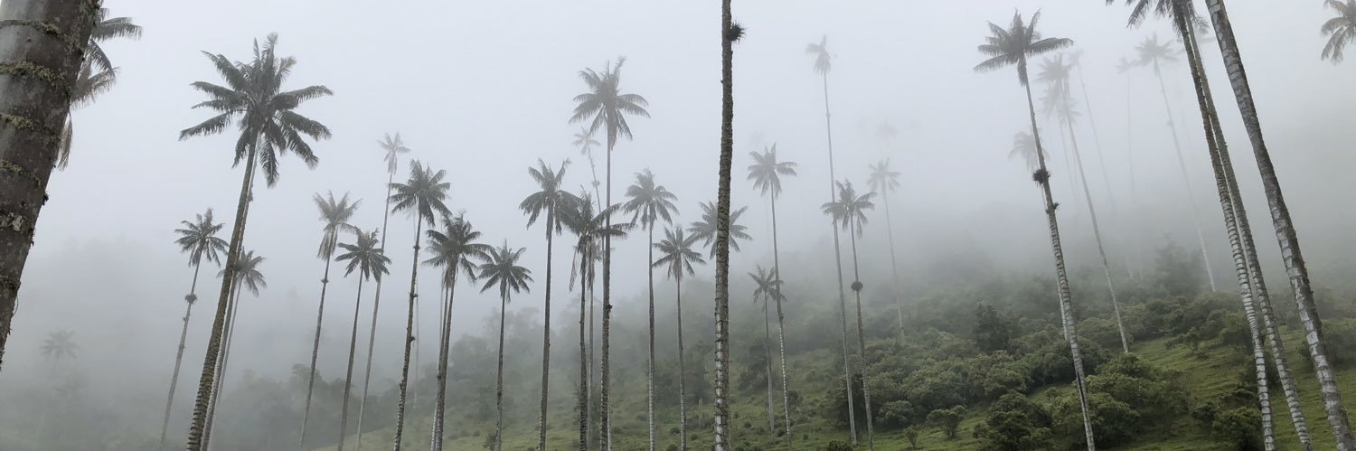 Martijn Roosien banner