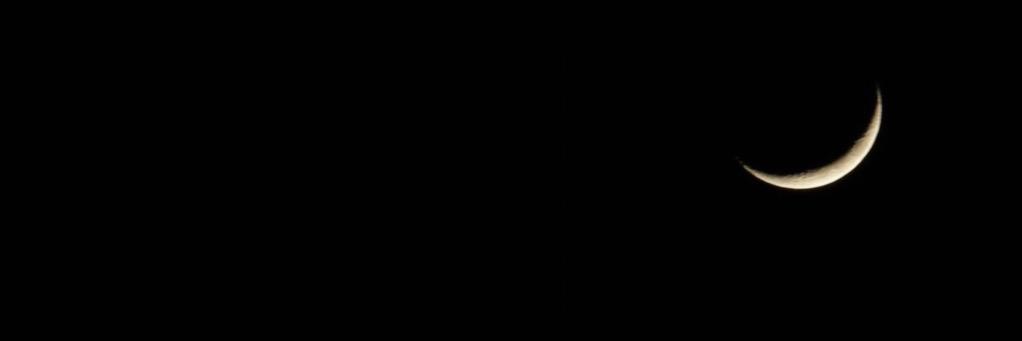 greedylan's profile banner image