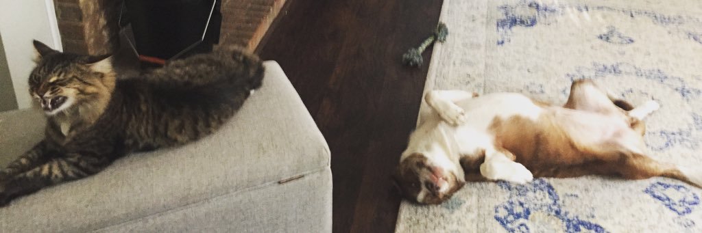 luketgriffith1's profile banner image