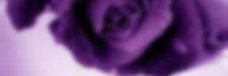 fff37__'s profile banner image