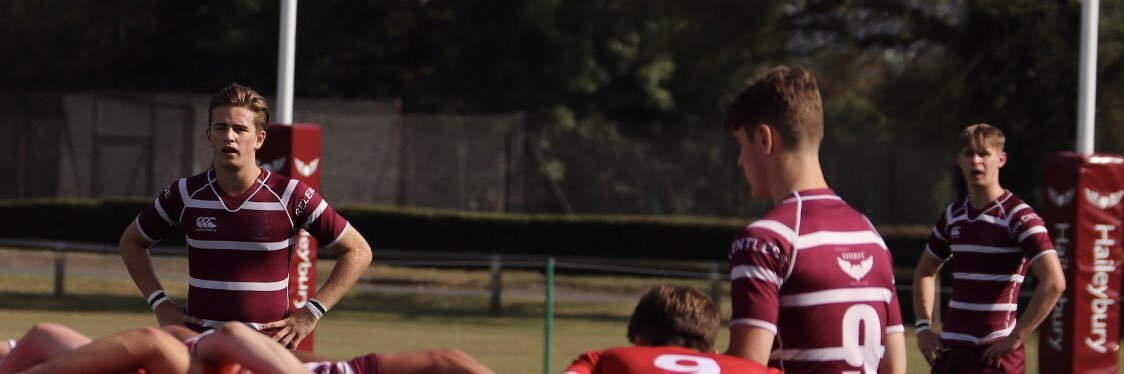 Louis Aylwin banner