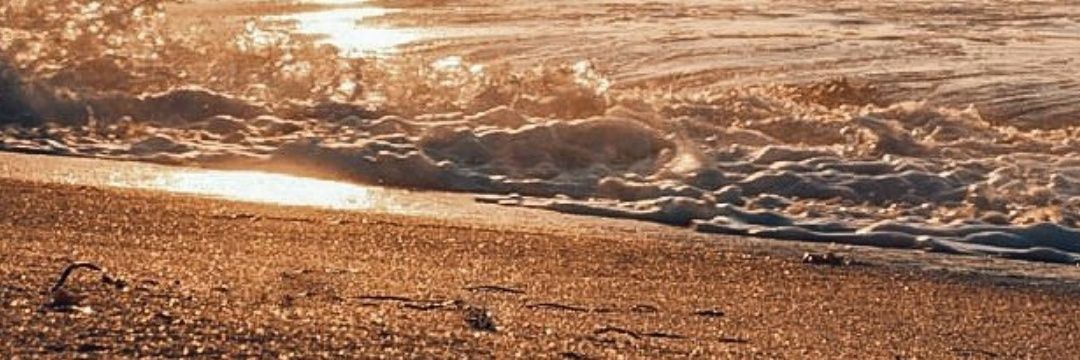 Preciouss_O's profile banner image