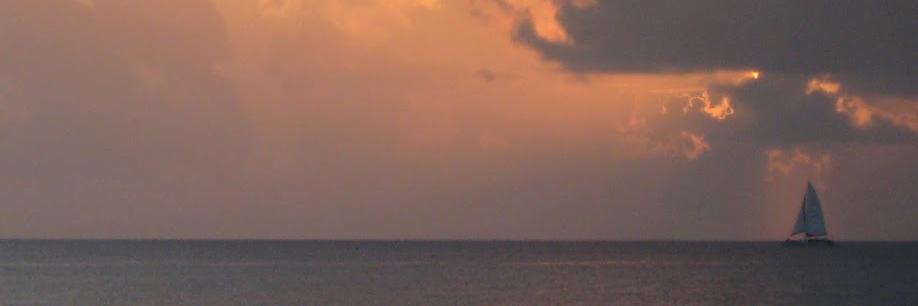 livewithoutego's profile banner image