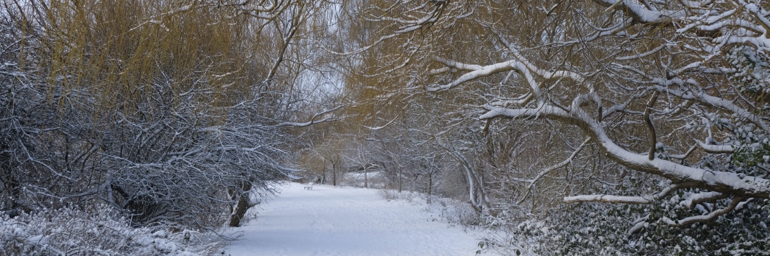 FiggatePark's profile banner image