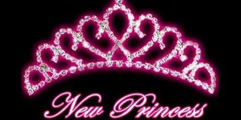 sandratnewprinc's profile banner image