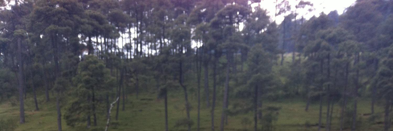 Adbeluga's profile banner image