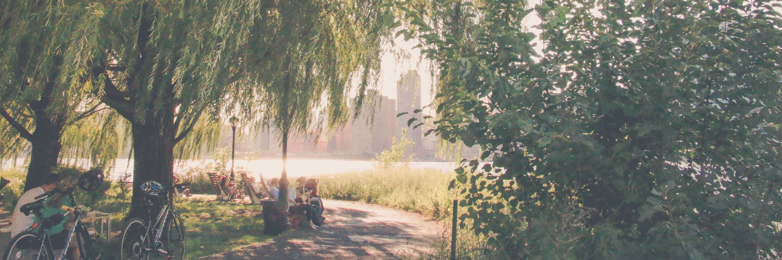 🩷 banner