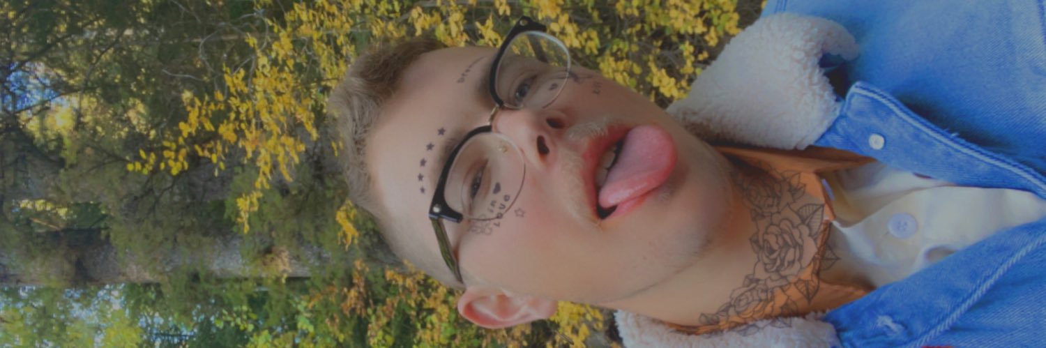 SL_UT95's profile banner image