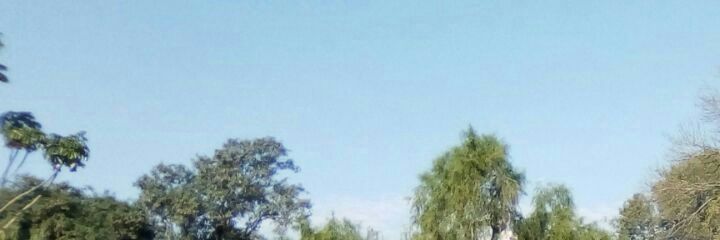 northsky_'s profile banner image