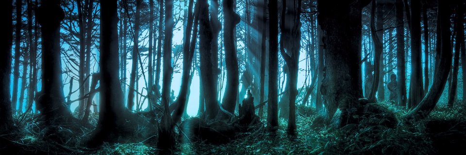 Osore66's profile banner image