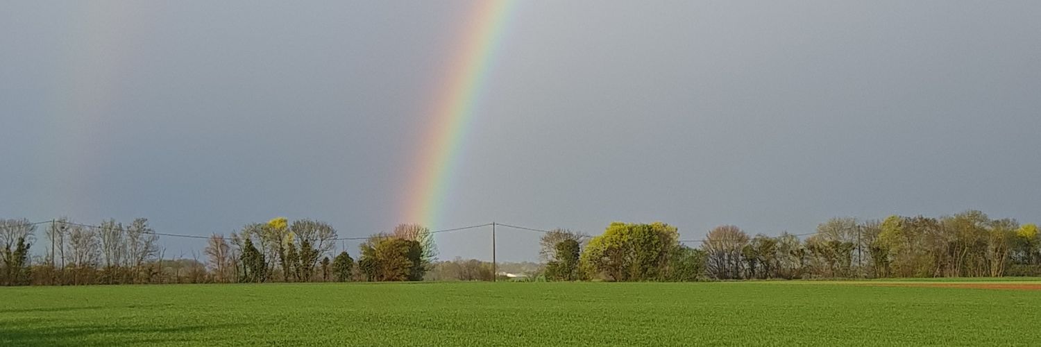 cpelleraud's profile banner image