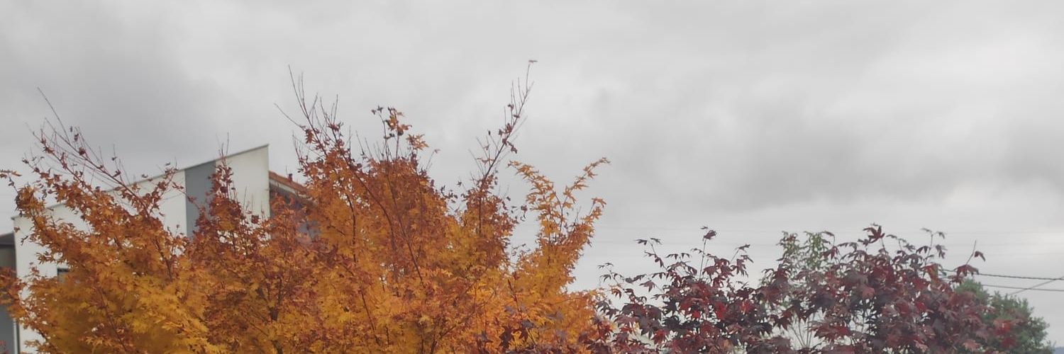 ruthleon80's profile banner image