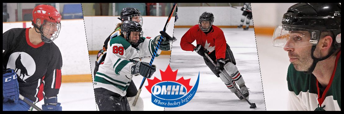 DMHL_Toronto's profile banner image