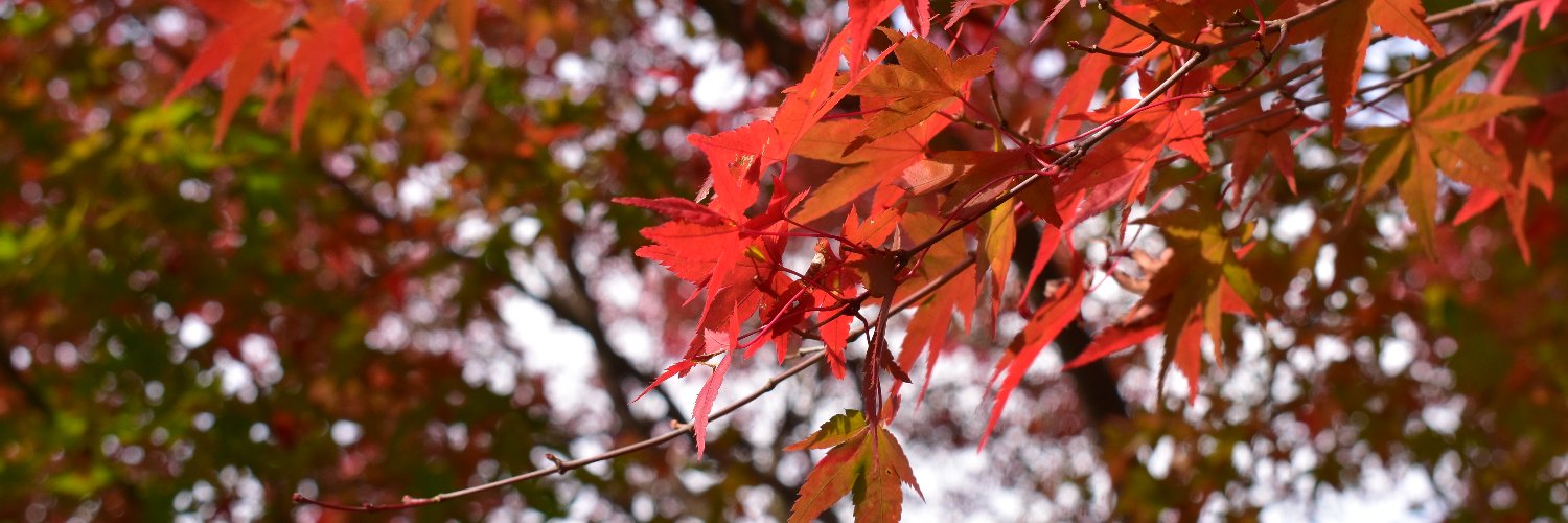 knt3284's profile banner image