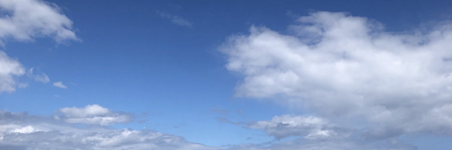 mellowmaddy's profile banner image