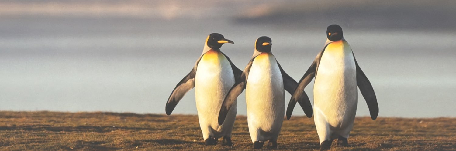 超鉄腕あとむ banner