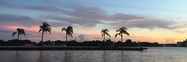 mnetz Profile Banner