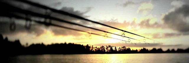 carpaddicts's profile banner image
