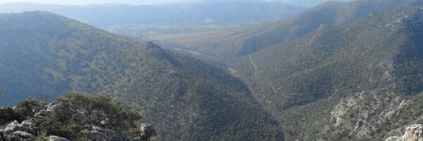 jeropowlsordier Profile Banner