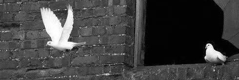MERT1ER's profile banner image