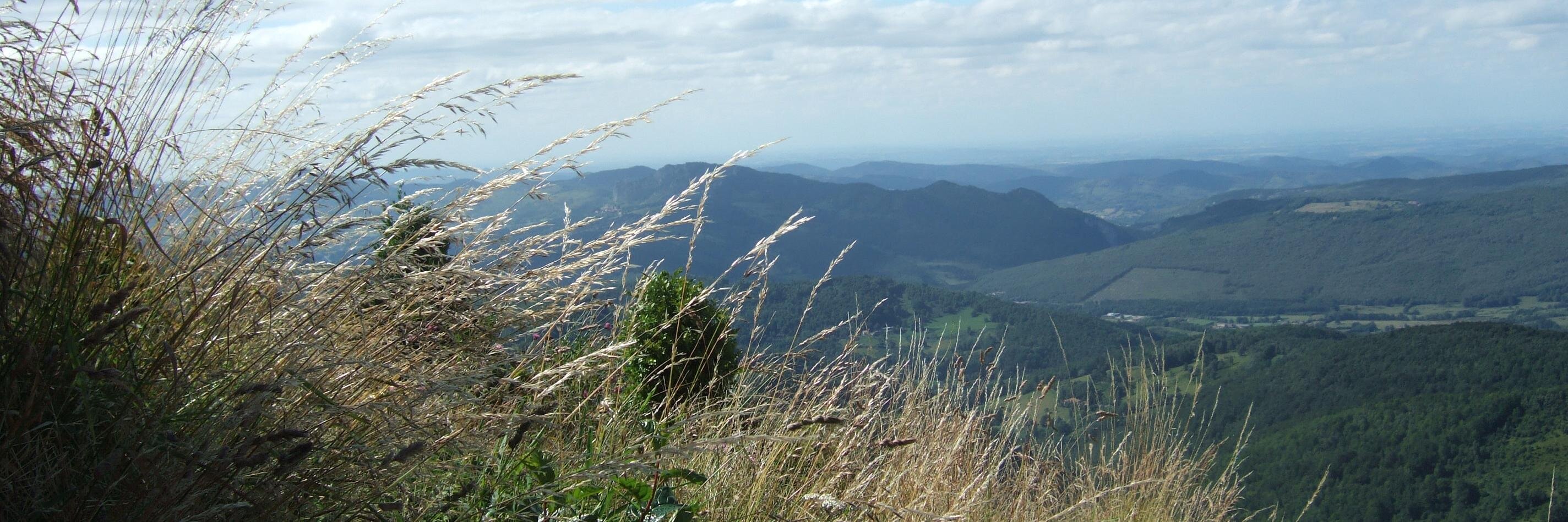 Wilsononwine's profile banner image