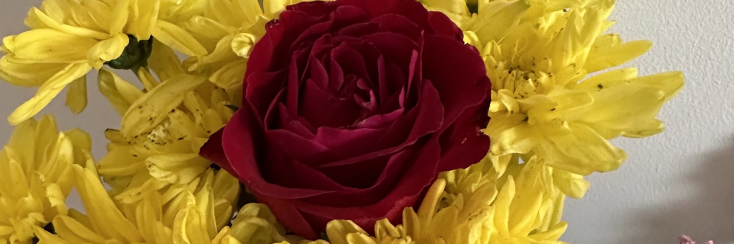 LulaLopez03's profile banner image