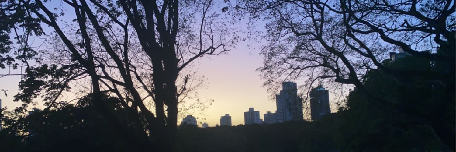 Michelle Tuy banner