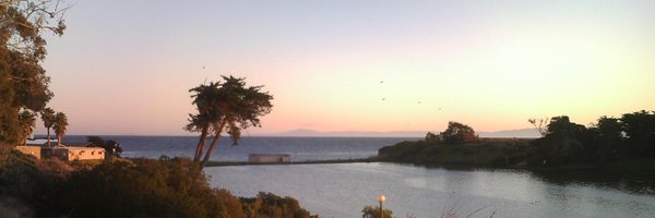 zoeliberman Profile Banner