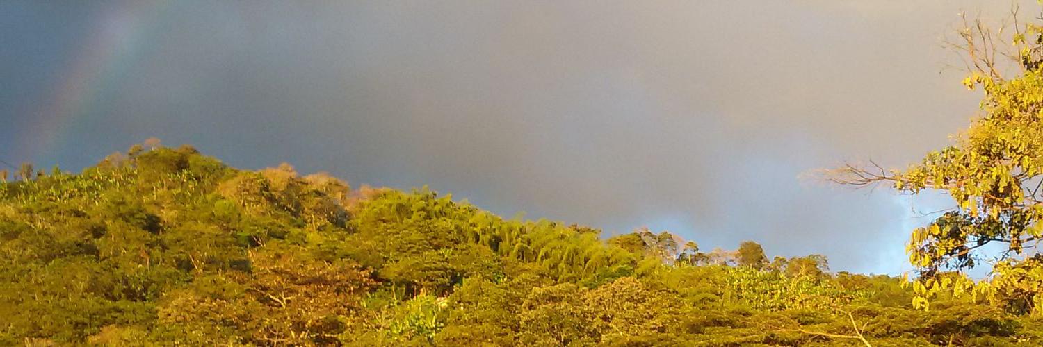 MoraMoracho's profile banner image