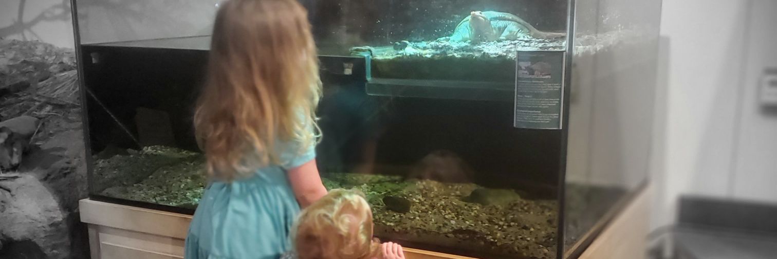 Tamee King-Linebarger banner