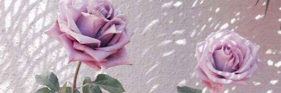 runawaydolan's profile banner image