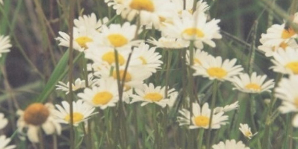 harmonymixer's profile banner image