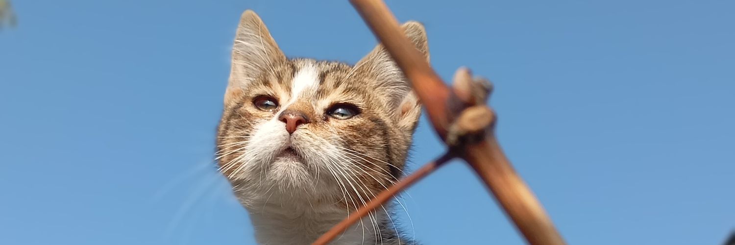 jo3lfreakin's profile banner image