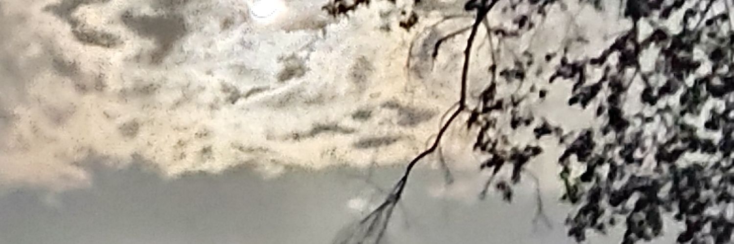 djpurity's profile banner image