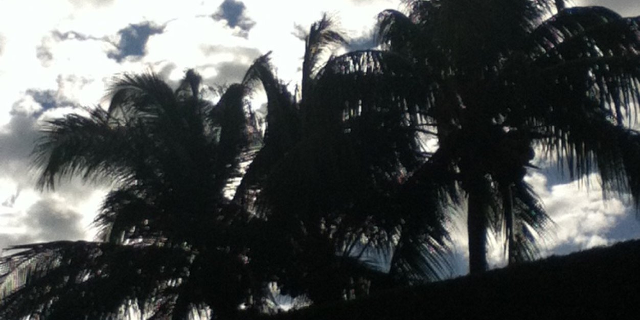 César Rodríguez 🇸🇻 banner