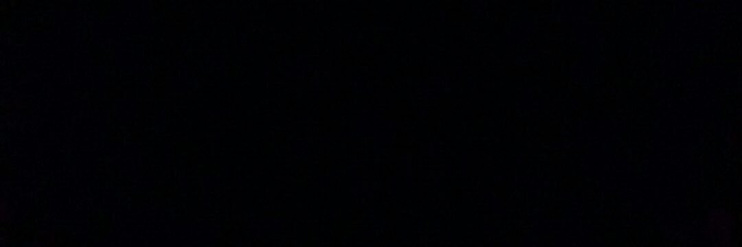FlaviaConradi's profile banner image