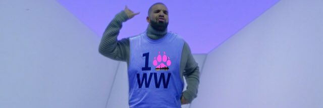 WoodsworthFrosh's profile banner image