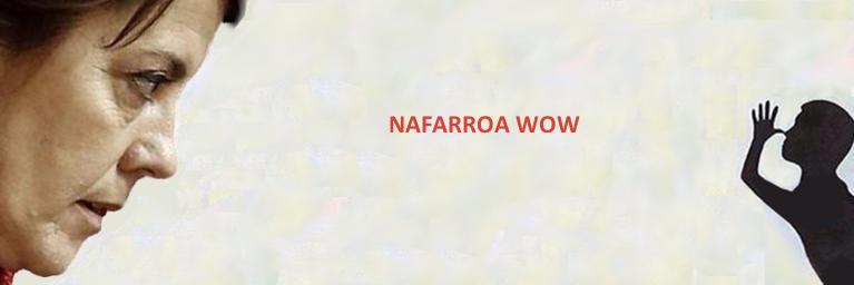NafarroaWow's profile banner image