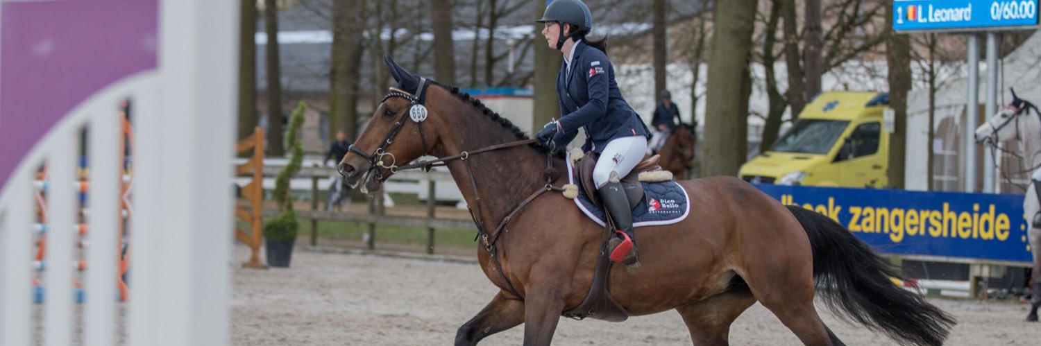 CamilleDevisch's profile banner image