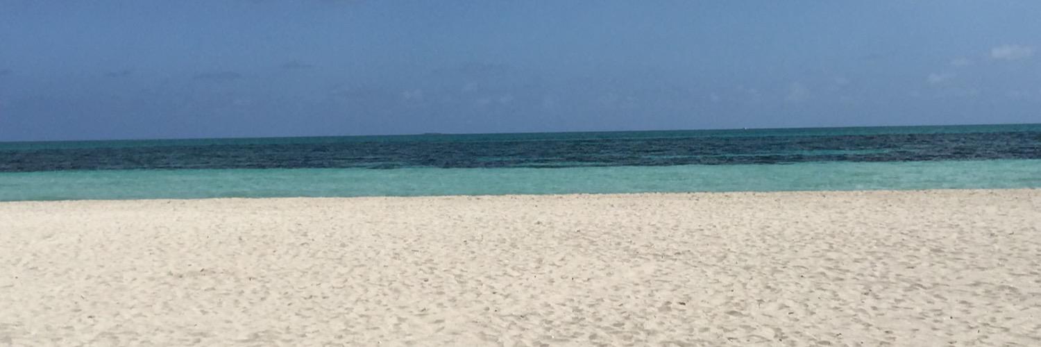 KristenFletch12's profile banner image