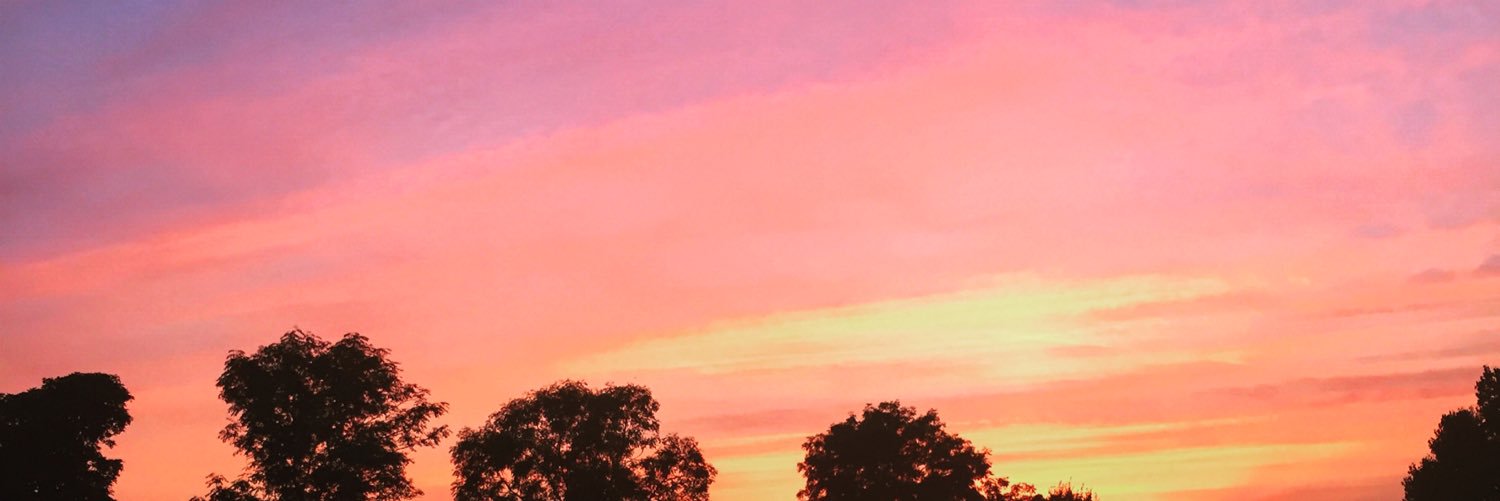 lauren1184's profile banner image