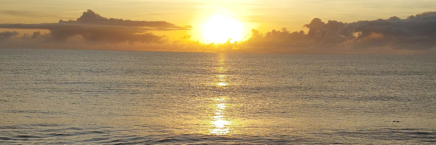 Paty7Neves's profile banner image
