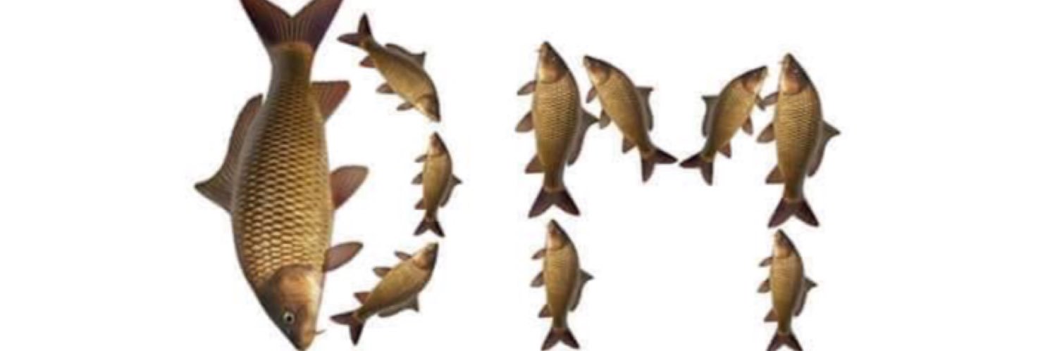 Simmeee's profile banner image