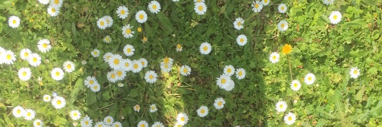 Casssdubois's profile banner image
