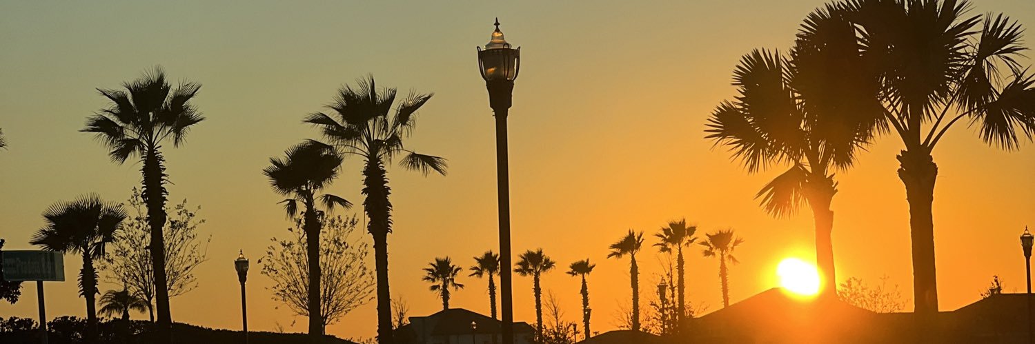 🐅 𝐹.𝑅𝑜𝓆𝓊𝐸 🏴‍☠️ banner