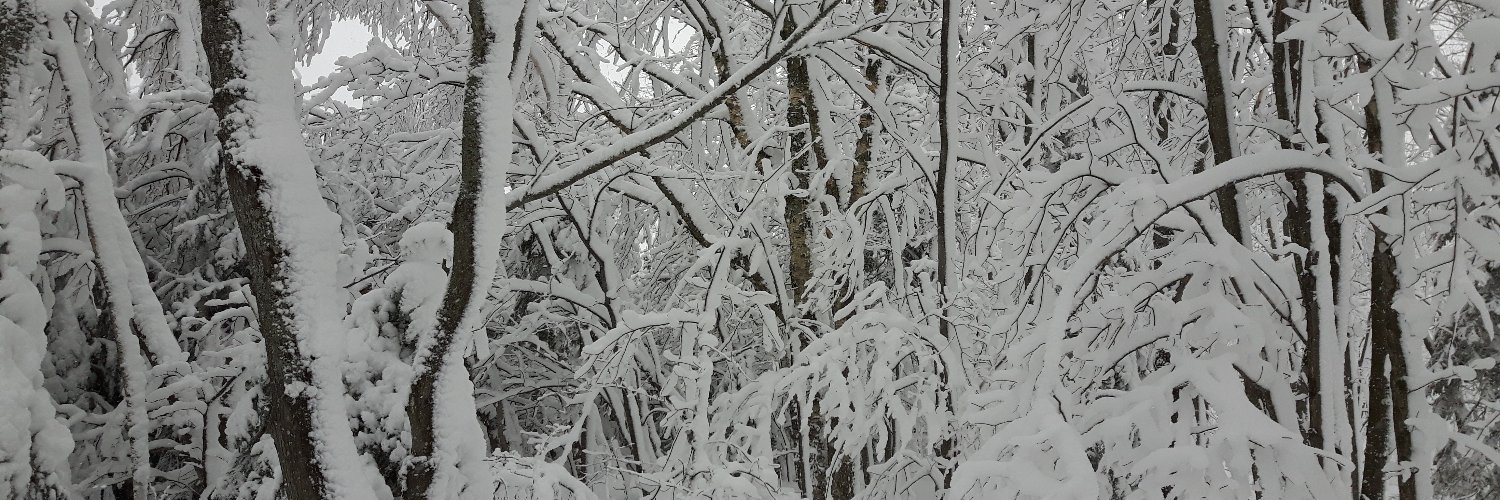 marc_morin's profile banner image