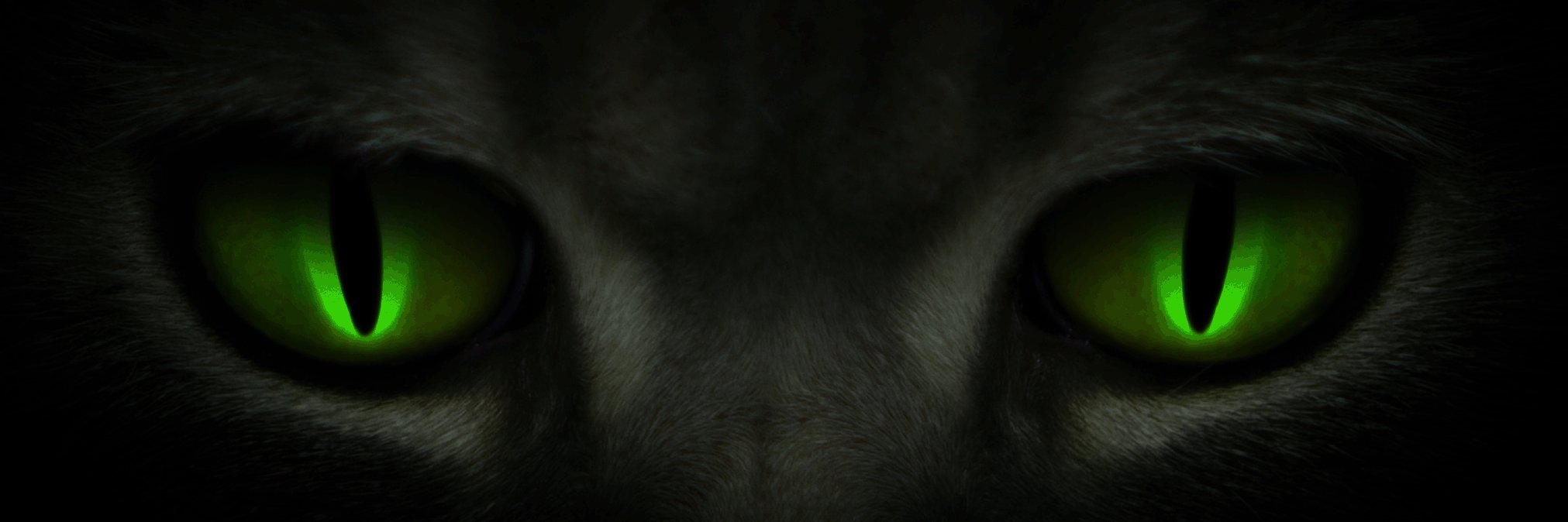 JASPERIMAGE banner